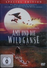 DVD Amy und die Wildgänse.JPG